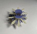 Two-Toned Clip