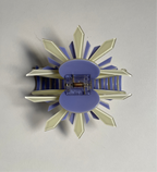 Two-Toned Clip