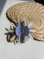Two-Toned Clip